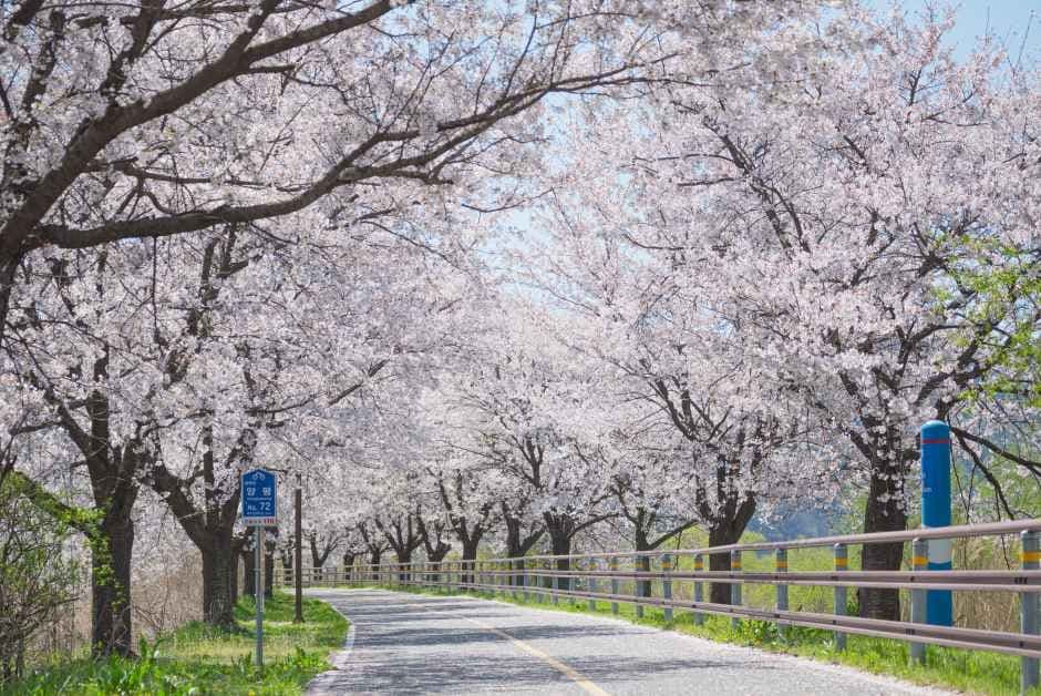 양평 갈산누리봄축제